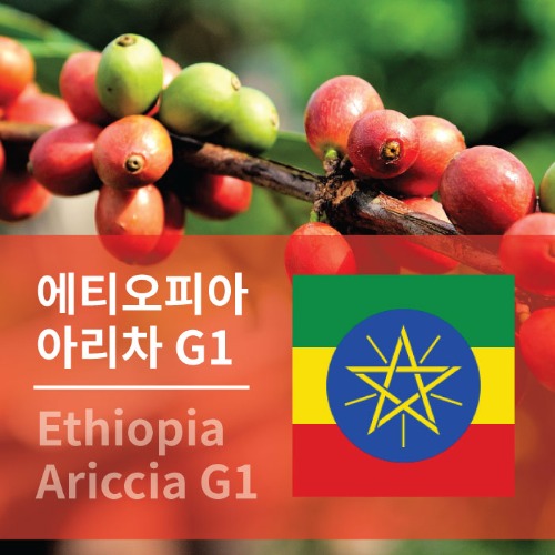 에티오피아 아리차 G1등급 1kg 생두 생두구입 커피생두 아프리카커피