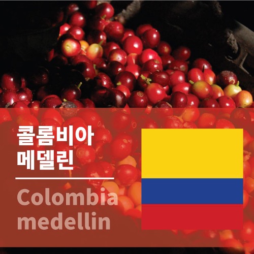 콜롬비아 수프리모 일루션 메델린(메데인) 생두 생두구입 커피생두 아프리카커피